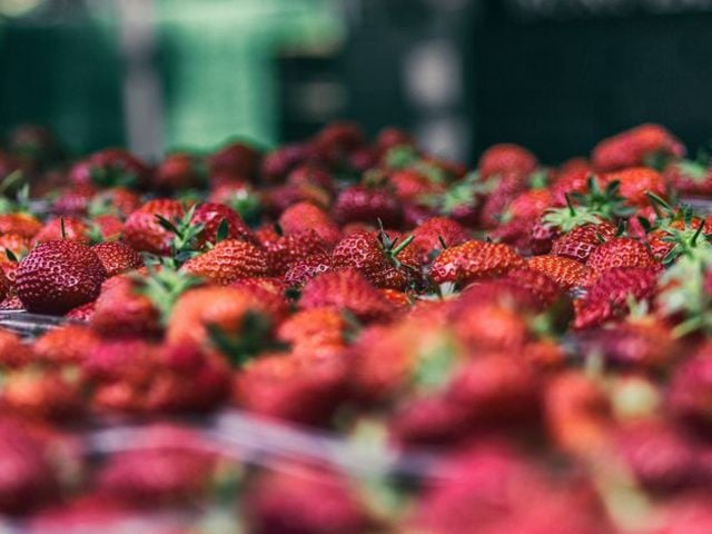 Strawberries