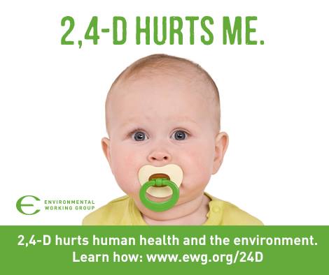 Health and 2,4-D - Risks to Children