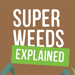Rise of Superweeds
