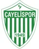 Cayelispor