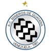 Mineros de Guayana